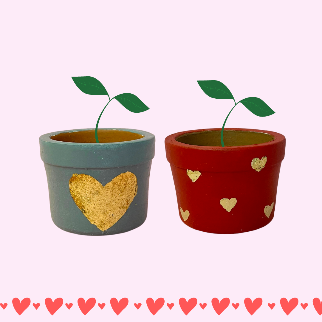 Love Offer - Mini Love Planters set of 2