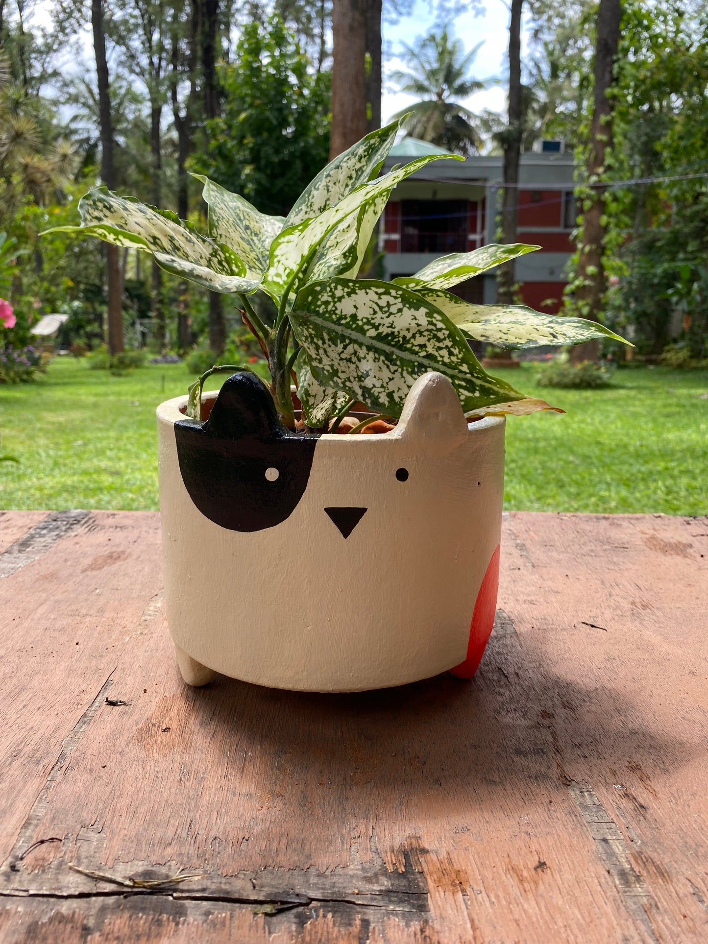 Terracotta Planter - Big Catty Black & Pink
