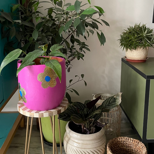 Terracotta Planter - Candy Floss Gold & Pink