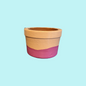 Terracotta Planter - Round Succulent