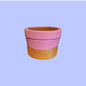 Terracotta Planter - Round Succulent