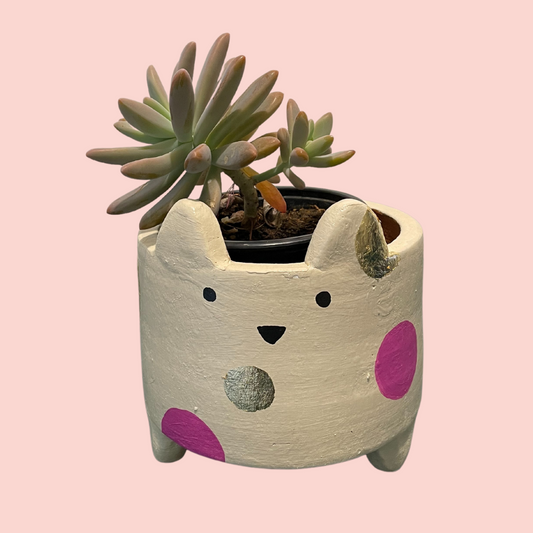 Terracotta Planters - Small Catty Gold & Pink Spotted