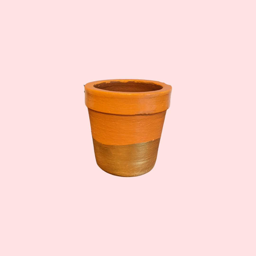 Terracotta Planter - Cone Succulent