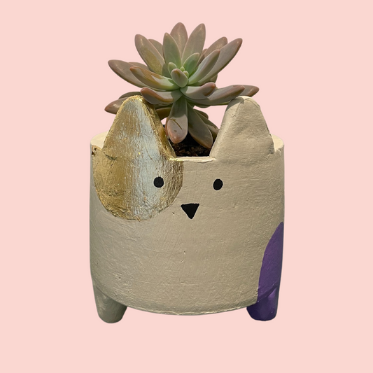 Terracotta Planters - Small Catty Gold & Purple