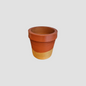 Terracotta Planter - Cone Succulent