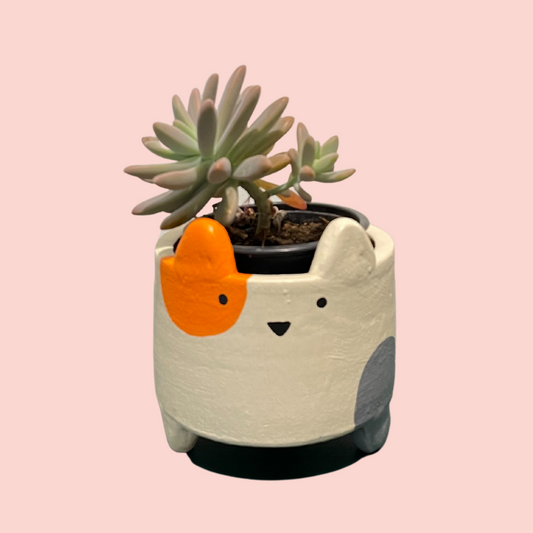 Terracotta Planters - Small Catty Orange & grey